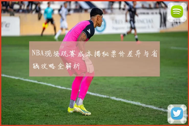 NBA现场观赛成本揭秘票价差异与省钱攻略全解析