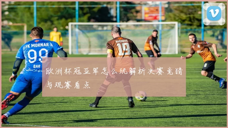 欧洲杯冠亚军怎么玩解析决赛竞猜与观赛看点