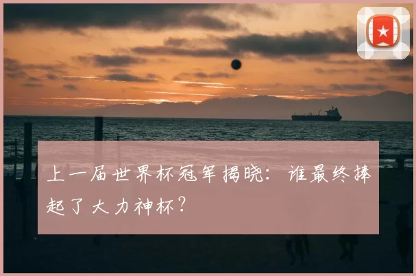 上一届世界杯冠军揭晓：谁最终捧起了大力神杯？