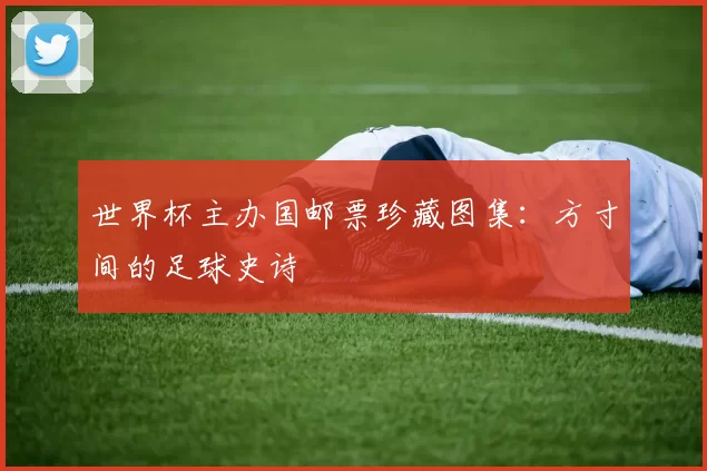 世界杯主办国邮票珍藏图集：方寸间的足球史诗