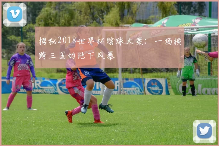 揭秘2018世界杯赌球大案：一场横跨三国的地下风暴