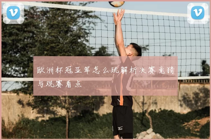 欧洲杯冠亚军怎么玩解析决赛竞猜与观赛看点