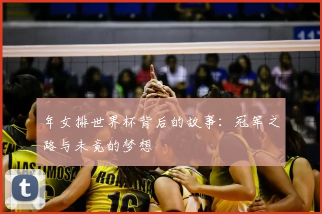 年女排世界杯背后的故事:冠军之路与未竟的梦想